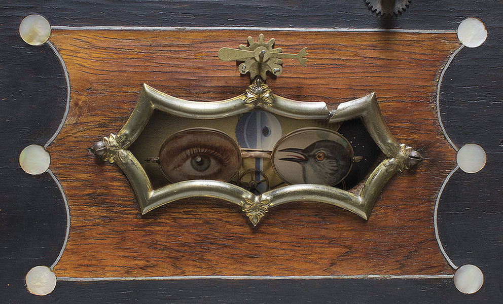 Close up of Alison Pebworth's Wunderkammer at the SFAC Main Gallery