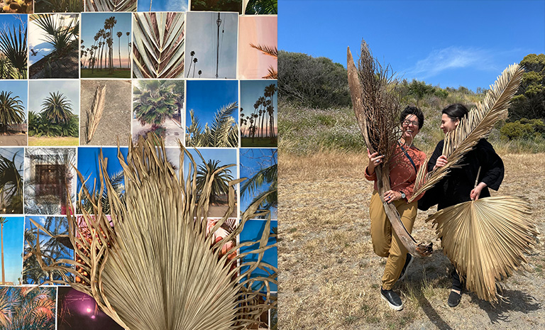 two images. one a grid f instagram images of palm trees and the other a image of the two artists holding large palm fronds while laughing.