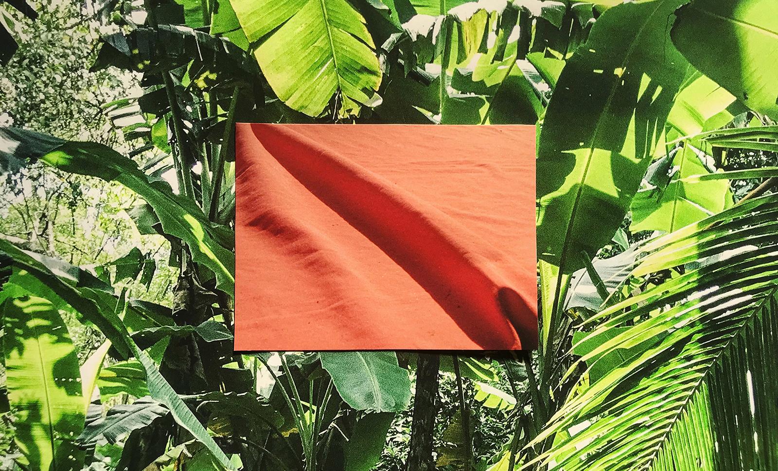 Many lush, green tropical plant leaves with an image of orange fabric overlaid it.